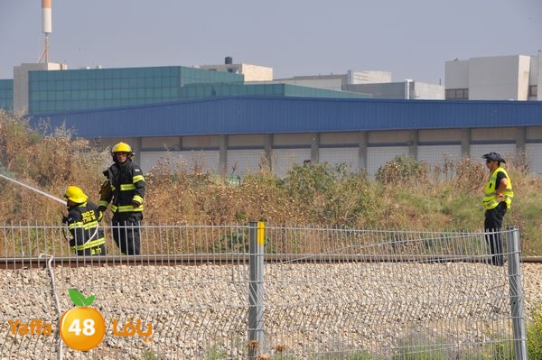 firecartoonsecnd506 (44).JPG